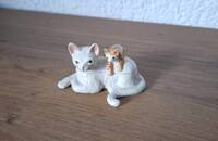 Kleine Dose Katze mit Kätzchen