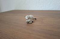 Miniatur Siamerser Katze mit Kätzchen I