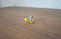 Miniatur Katze mit gelbem Schuh