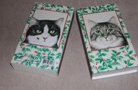 Weihnacht Katzen 1 Schachtel lange Streichhölzer 
