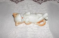 Kleine Katze auf dem Rücken schlafend 1