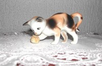 Kleine Katze mit Wolle 3