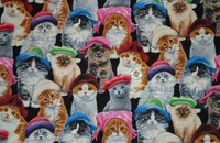 Stoff Katzen mit bunten Mützen