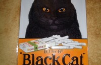 Blechschild "Black Cat"