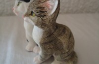 Sitzende Kätzchen I