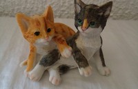 Liegende Kätzchen A