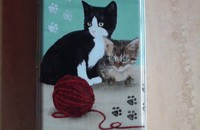 Cats and Kittens Stiftdose 