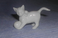 Weisse Katze stehend