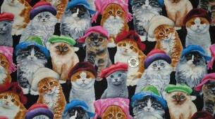 Stoff Katzen mit bunten Mützen