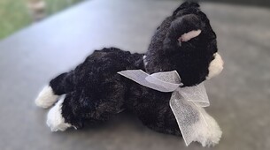 Schwarz-weisse kleine Plüschkatze Gund