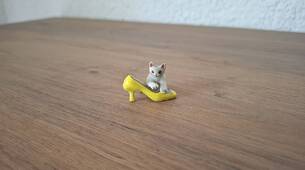 Miniatur Katze mit gelbem Schuh
