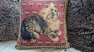 Kissen Katze Lesley Anne Ivory