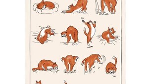 Geschirrtuch mit Katzen-Tagesverlauf
