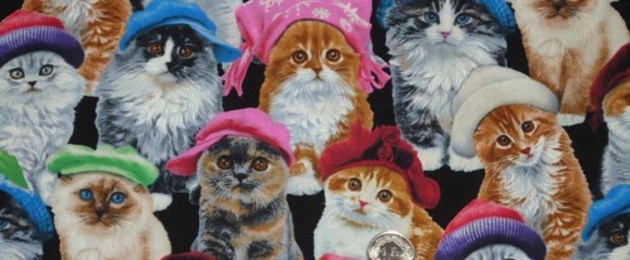 Tissu chats avec bonnets