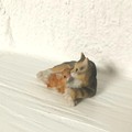 Produktübersicht (ESC-Taste, um das Fenster zu schließen)