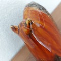 Produktübersicht (ESC-Taste, um das Fenster zu schließen)